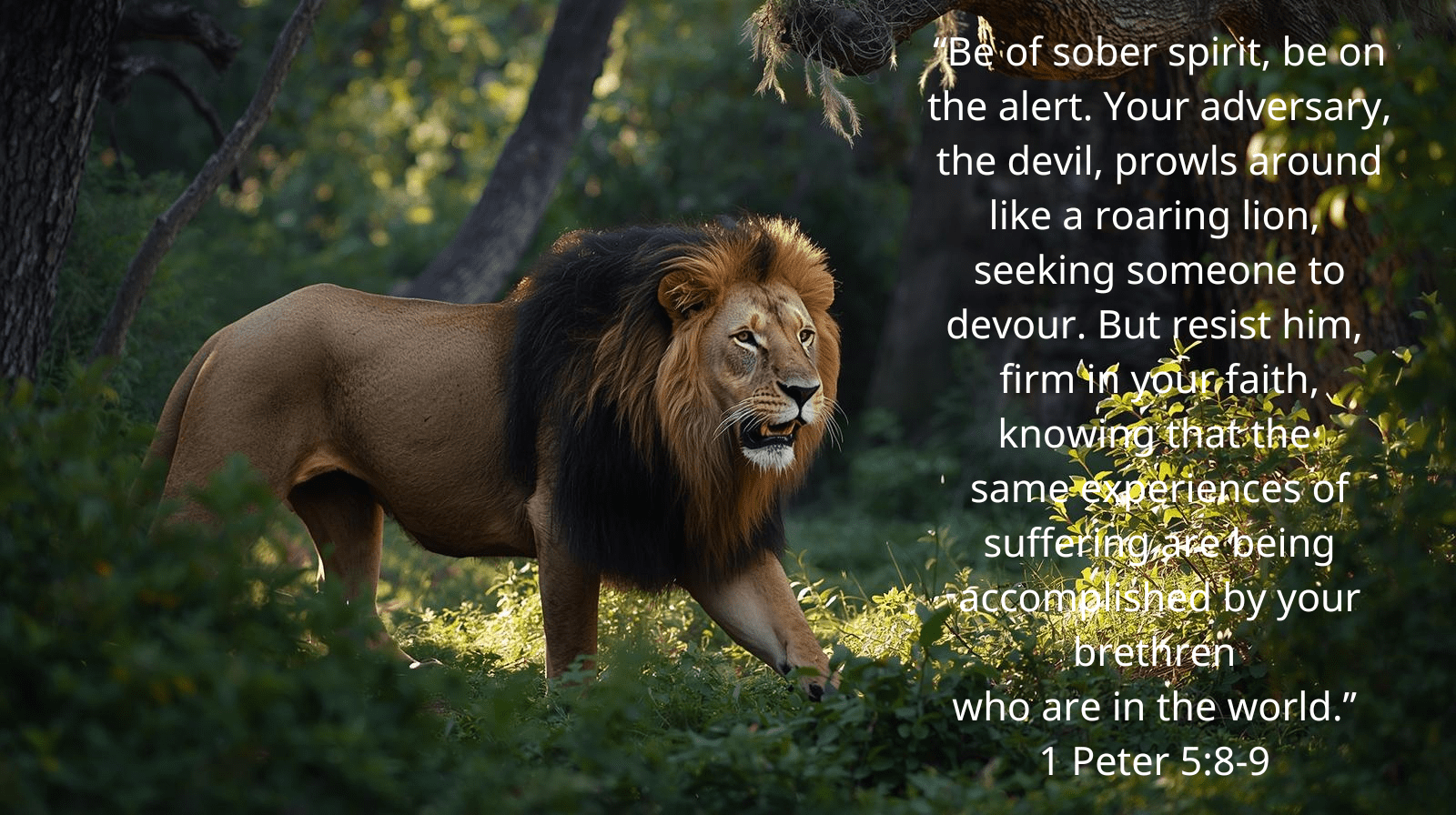 1 Peter 5:8-9 Verse Art